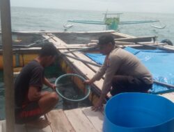 Dukung Ketahanan Pangan, Bhabinkamtibmas Desa Tarupa Selayar Bina 3 Keramba Apung