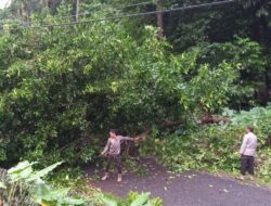Banjir di Kecamatan Buki dan Bontomanai, Personil Polsek Lakukan Evakuasi Pohon-pohon Tumbang