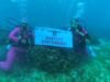 Cara Unik Peringati Hari Bhayangkara ke‑79, Polsek Bontomanai Polres Selayar Gelar Upacara di Bawah Laut