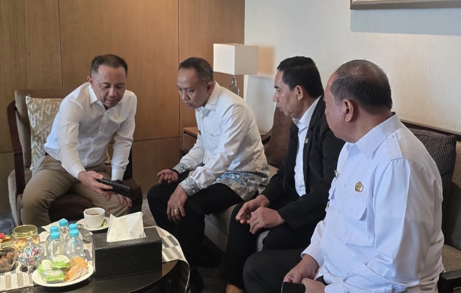 Bupati Natsir Ali Kembali Perjuangkan Kelistrikan, Lakukan Koordinasi dengan PLN Pusat, PLTMG siap dibangun
