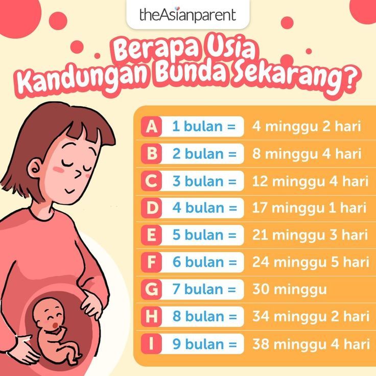 Mengoptimalkan Potensi Sejak Dini Tips Ahli Untuk Perkembangan Anak Yang Menyeluruh