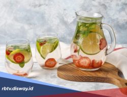 Kreasi Resep Infused Water untuk Detoks Tubuh secara Natural: Panduan Lengkap Hidrasi Sehat Setiap Hari