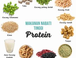 Mengenal Makanan Sumber Protein Nabati Terbaik untuk Gaya Hidup Sehat