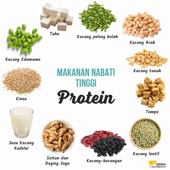 Mengenal Makanan Sumber Protein Nabati Terbaik untuk Gaya Hidup Sehat