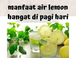 Panduan Lengkap Air Lemon Hangat di Pagi Hari: Rahasia Alami Mendukung Program Diet Anda