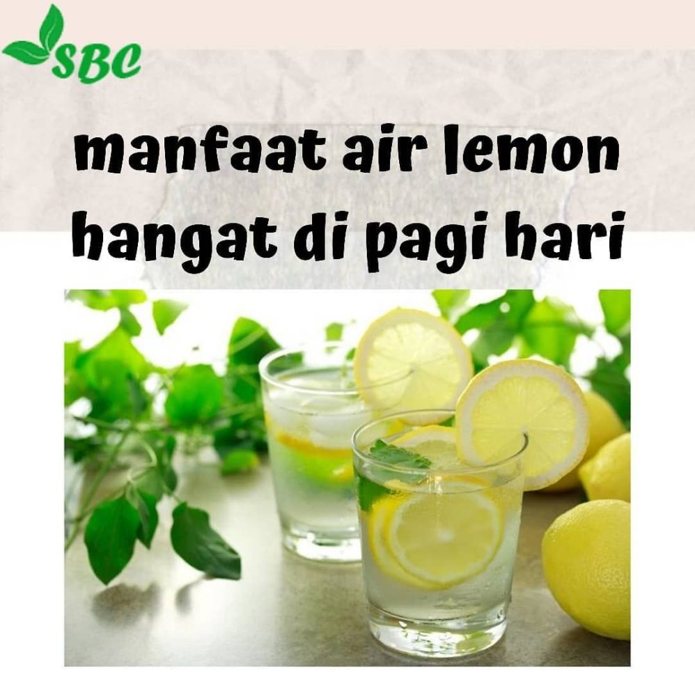 Panduan Lengkap Air Lemon Hangat di Pagi Hari: Rahasia Alami Mendukung Program Diet Anda