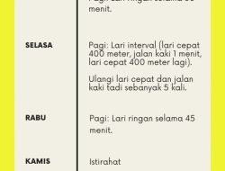 Panduan Lengkap Cara Berpuasa Intermiten 16 Jam untuk Pemula: Pola Makan Sehat dan Lezat