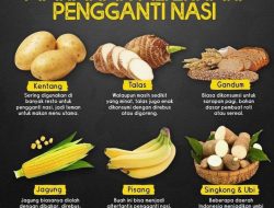 Panduan Lengkap Makanan Pengganti Nasi Putih yang Rendah Kalori untuk Pola Makan Sehat