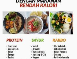 Panduan Lengkap Makanan Rendah Kalori yang Mengenyangkan Perut Secara Natural