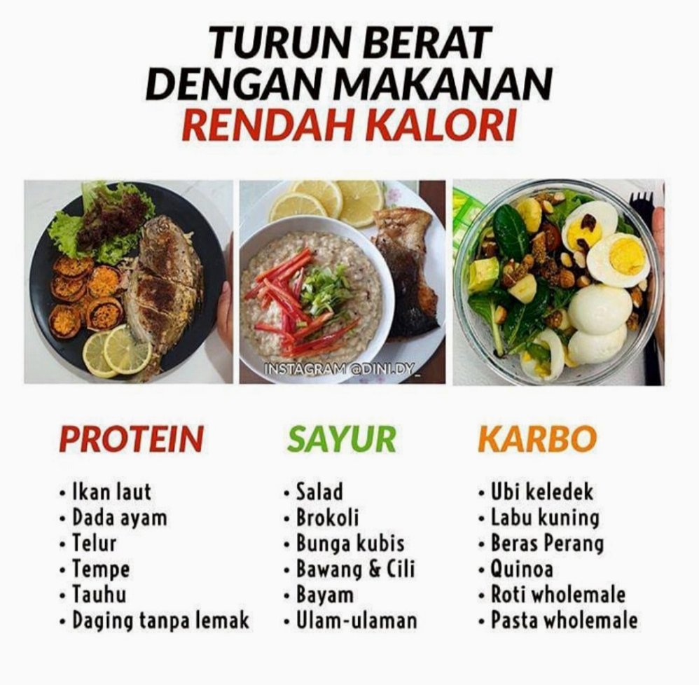 Panduan Lengkap Makanan Rendah Kalori yang Mengenyangkan Perut Secara Natural