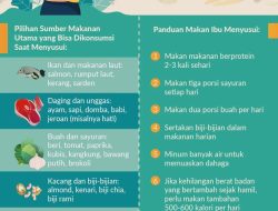 Panduan Lengkap Makanan Sehat untuk Ibu Menyusui yang Ingin Diet Tanpa Mengurangi Produksi ASI