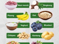 Panduan Lengkap Makanan Sumber Karbohidrat Kompleks untuk Diet Sehat dan Seimbang