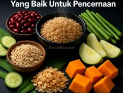 Panduan Lengkap Makanan Tinggi Serat untuk Melancarkan Pencernaan Secara Alami