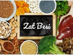 Panduan Lengkap Makanan Tinggi Zat Besi untuk Vegetarian: Nutrisi, Cita Rasa, dan Cara Mengolahnya