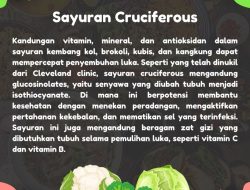 Panduan Lengkap Makanan untuk Mempercepat Penyembuhan Luka Secara Natural: Nutrisi, Manfaat, dan Cara Penyajiannya