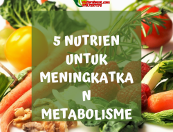Panduan Lengkap Makanan yang Mempercepat Metabolisme Tubuh Secara Alami