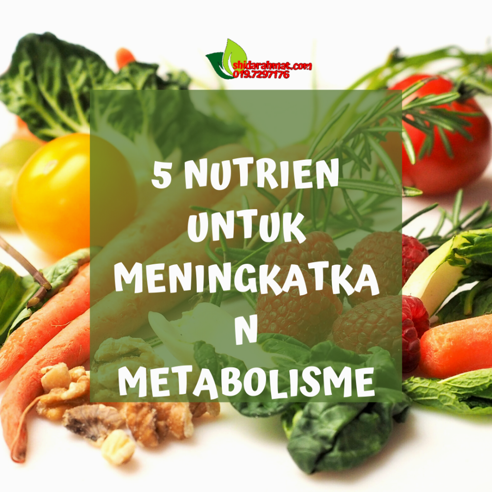 Panduan Lengkap Makanan yang Mempercepat Metabolisme Tubuh Secara Alami