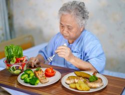 Panduan Lengkap Menu Diet untuk Lansia agar Tetap Bugar dan Bertenaga