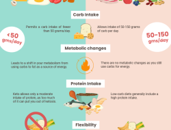 Panduan Lengkap Perbedaan Diet Keto dan Low Carb untuk Gaya Hidup Sehat
