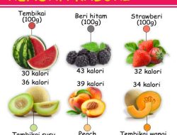 Panduan Lengkap Tips Memilih Buah-Buahan untuk Diet Sehat dan Seimbang