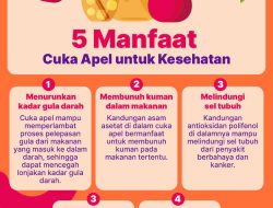 Rahasia Buah Apel: Optimalkan Pengelolaan Berat Badan dan Kesehatan Pencernaan Secara Alami