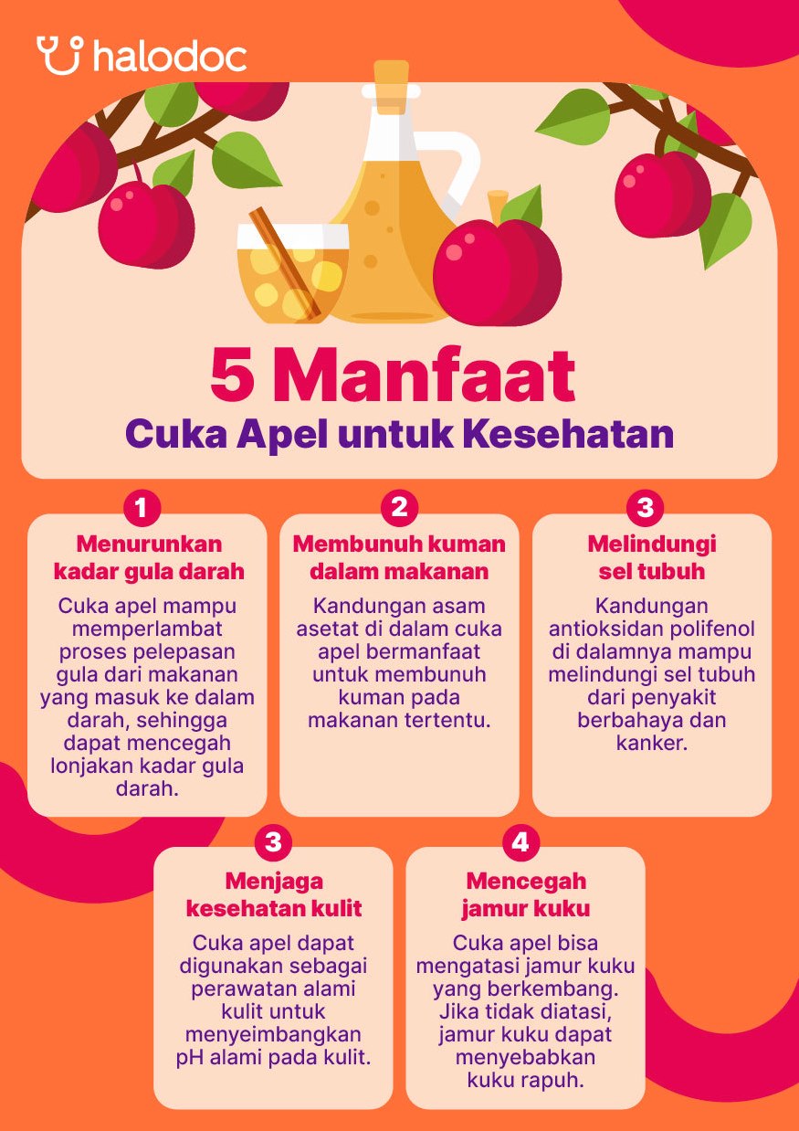 Rahasia Buah Apel: Optimalkan Pengelolaan Berat Badan dan Kesehatan Pencernaan Secara Alami