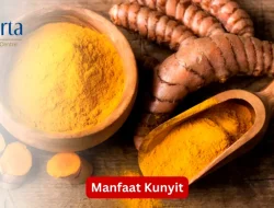 Rahasia Rempah Kuning: Manfaat Kunyit untuk Diet dan Menurunkan Berat Badan secara Alami