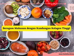 Panduan Lengkap Makanan Sumber Kolagen Alami untuk Kulit Sehat dan Glowing